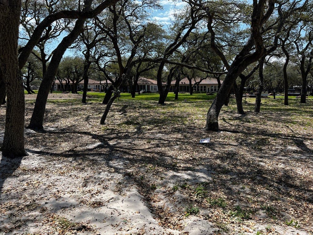 0 acres in Wise County - photo 2