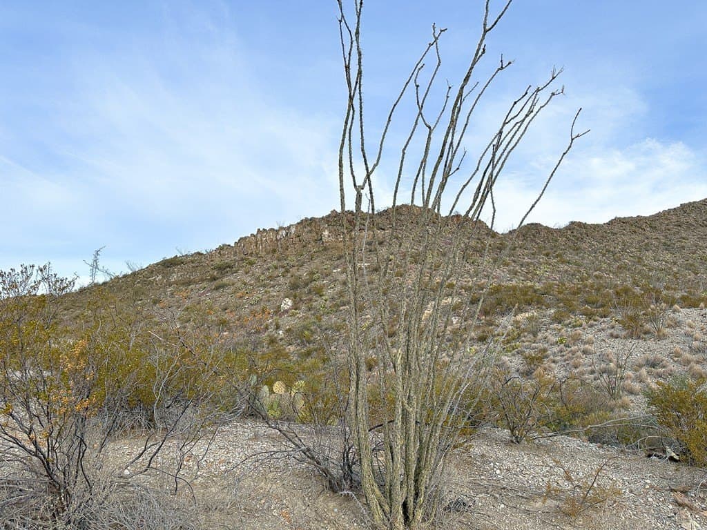 20 acres in Brewster County - photo 11