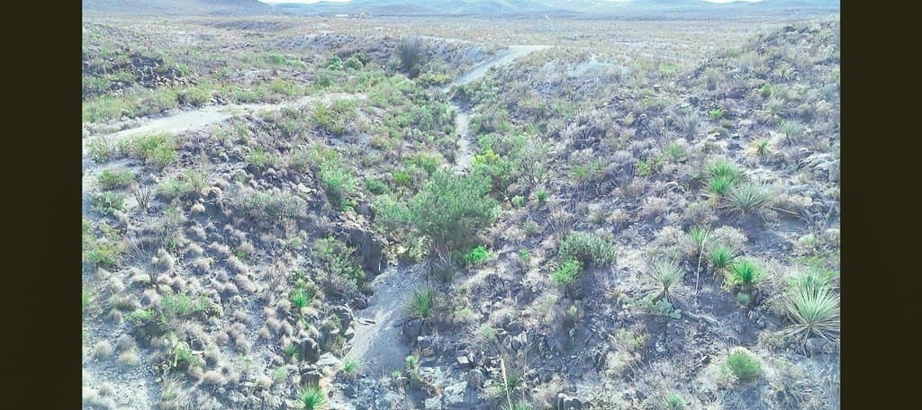 20 acres in Brewster County - photo 3