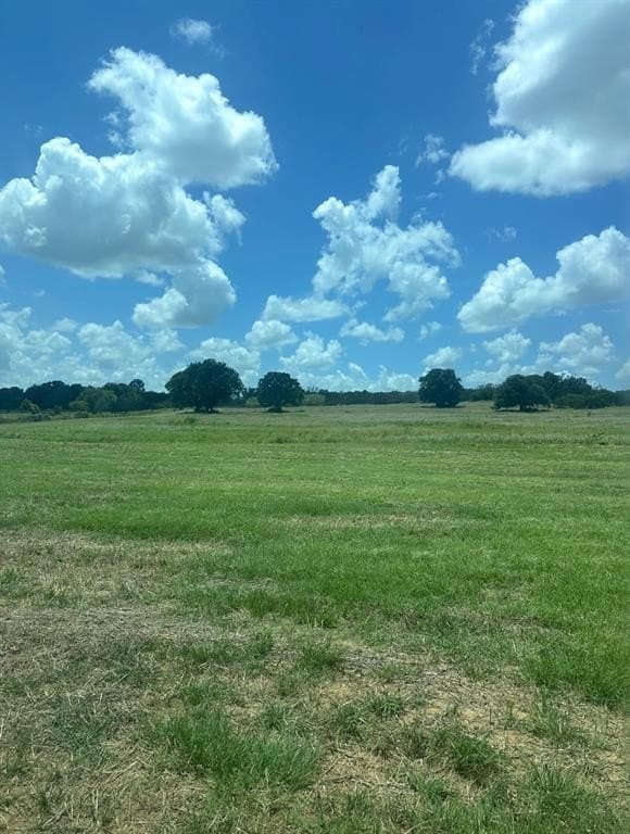 36 acres in Erath County - photo 39