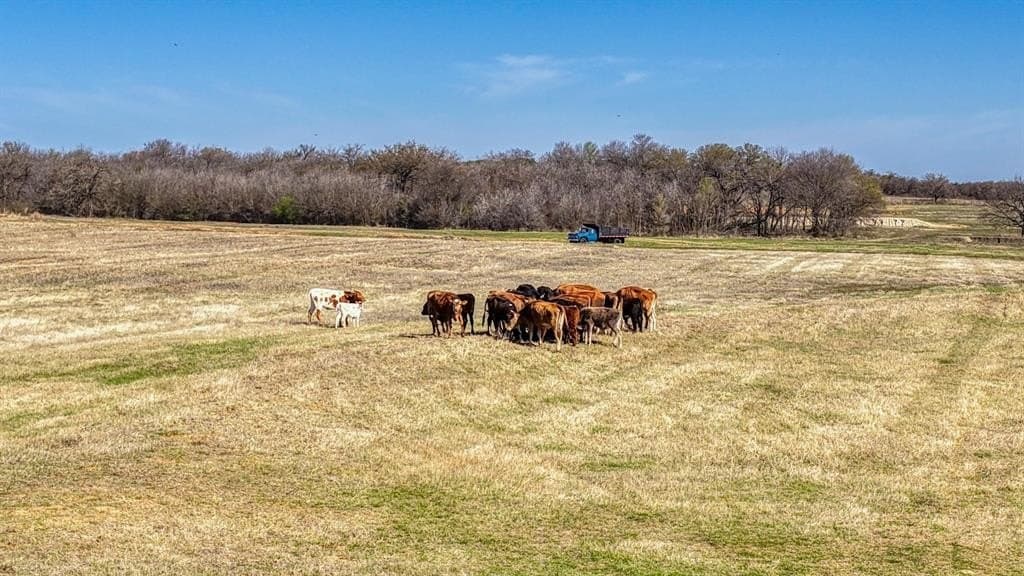 36 acres in Erath County - photo 30