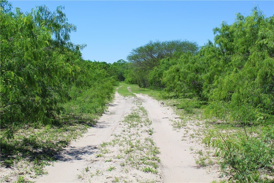 158.31 acres in Kleberg County - photo 8