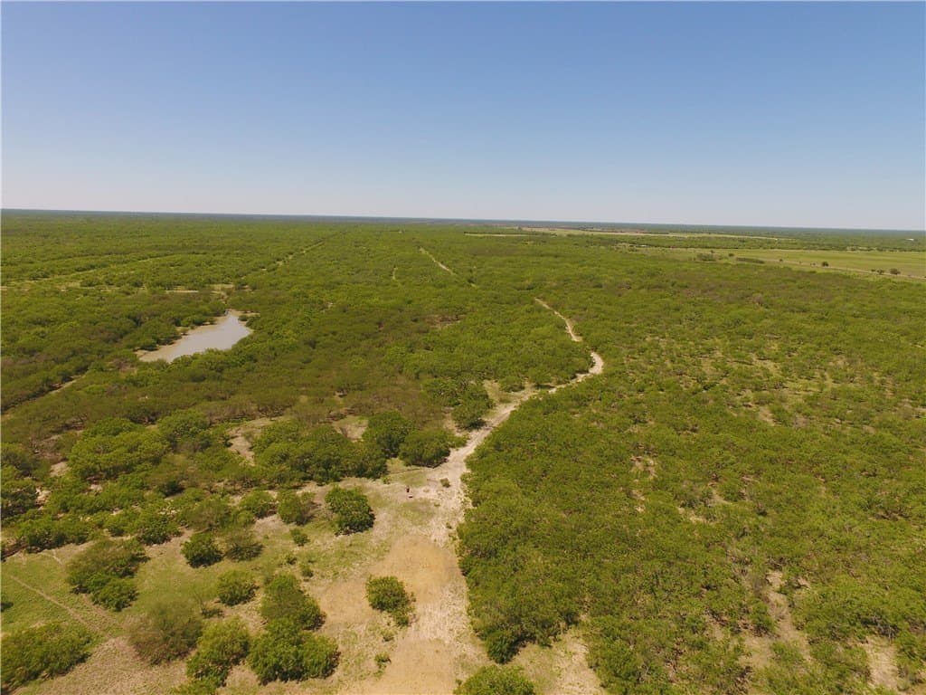 158.31 acres in Kleberg County - photo 3