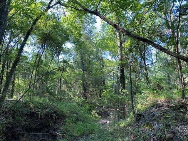 24.84 acres in Henderson County - photo 3