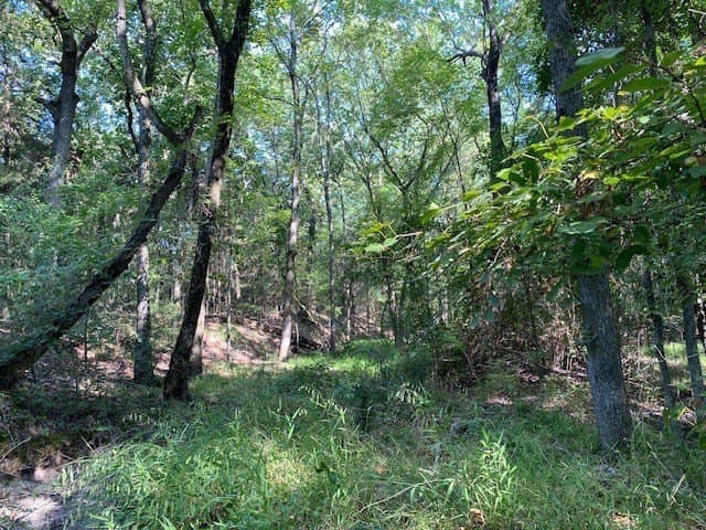 24.84 acres in Henderson County - photo 4