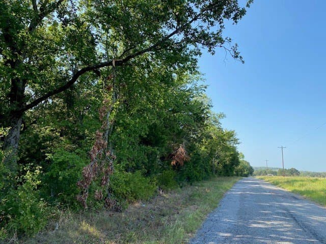 24.84 acres in Henderson County - photo 7