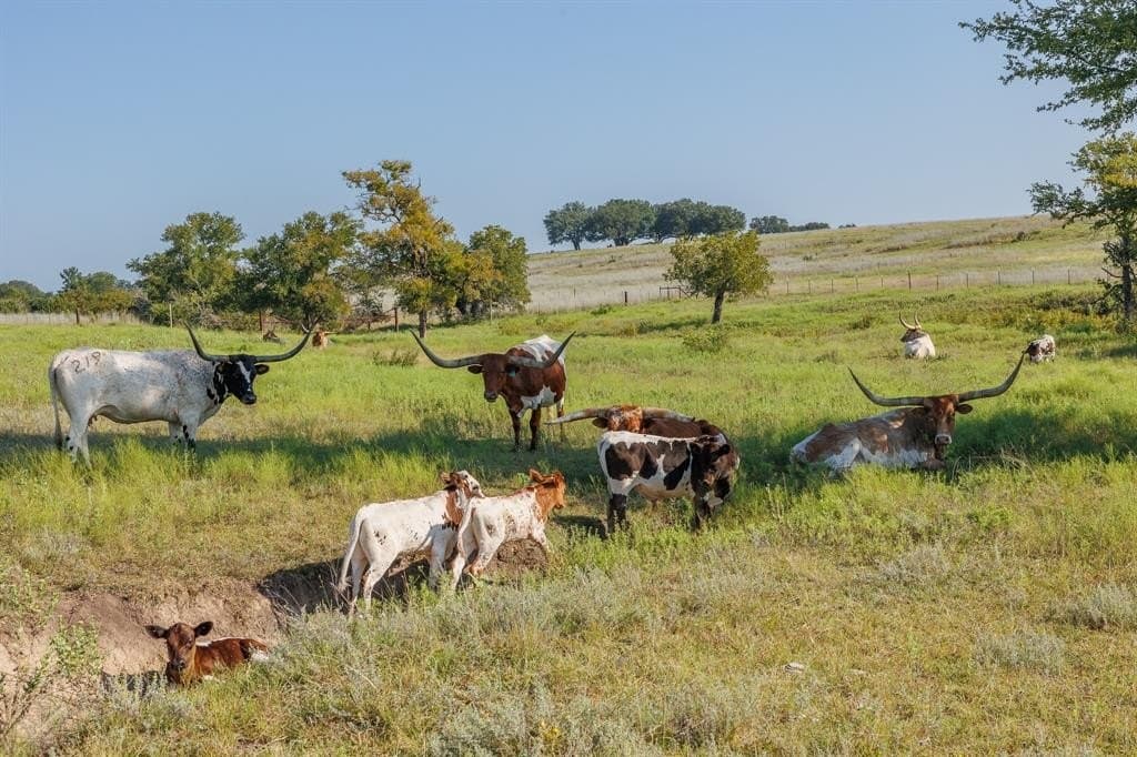 0.56 acres in Erath County - photo 11