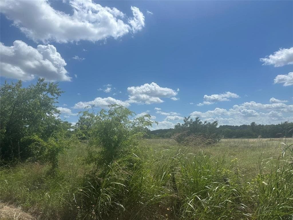 3.99 acres in Parker County - photo 3