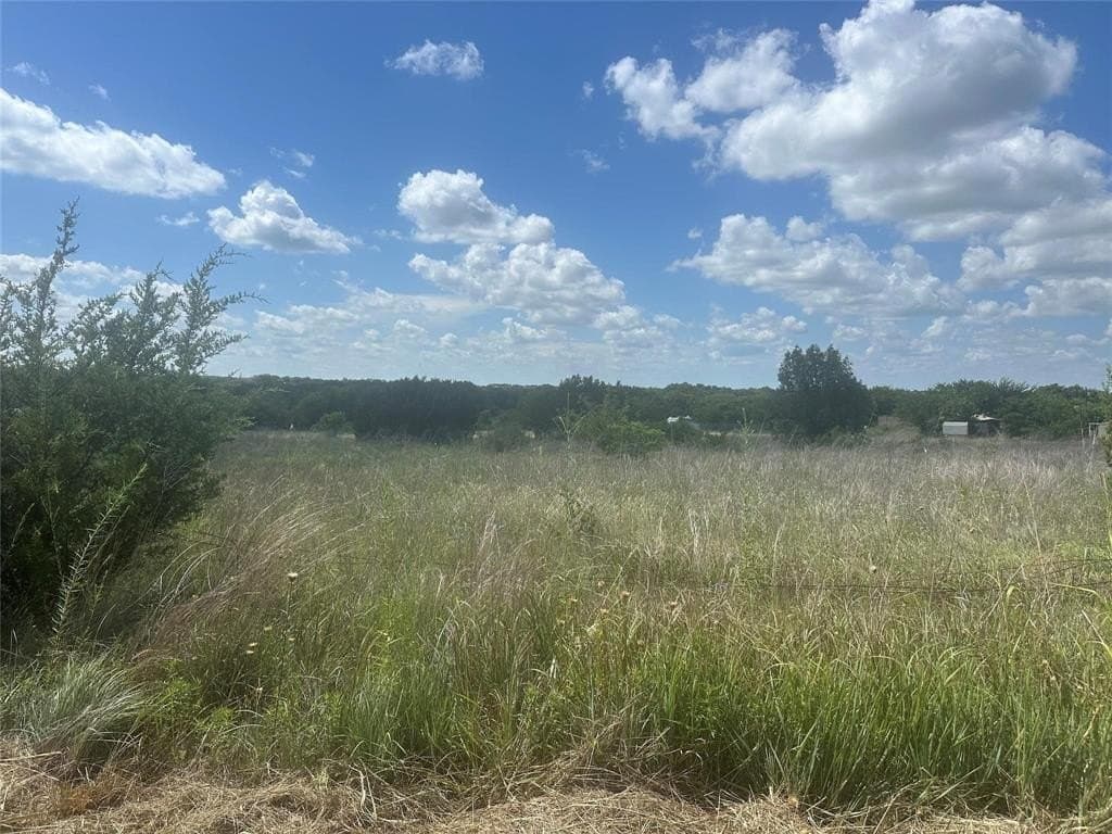 3.99 acres in Parker County - photo 5
