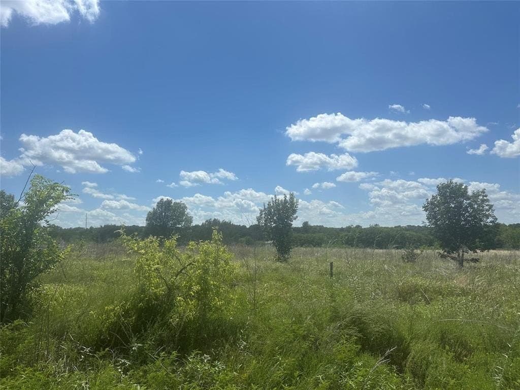 3.99 acres in Parker County - photo 4