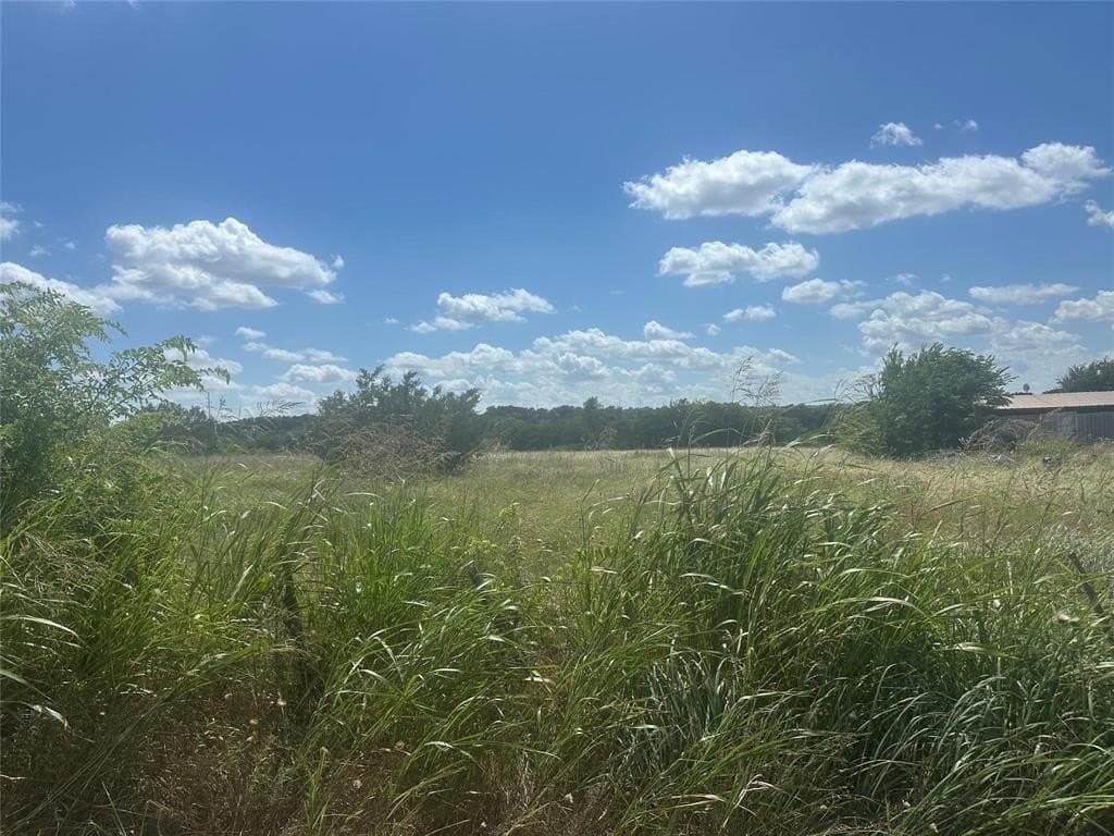 3.99 acres in Parker County - photo 2