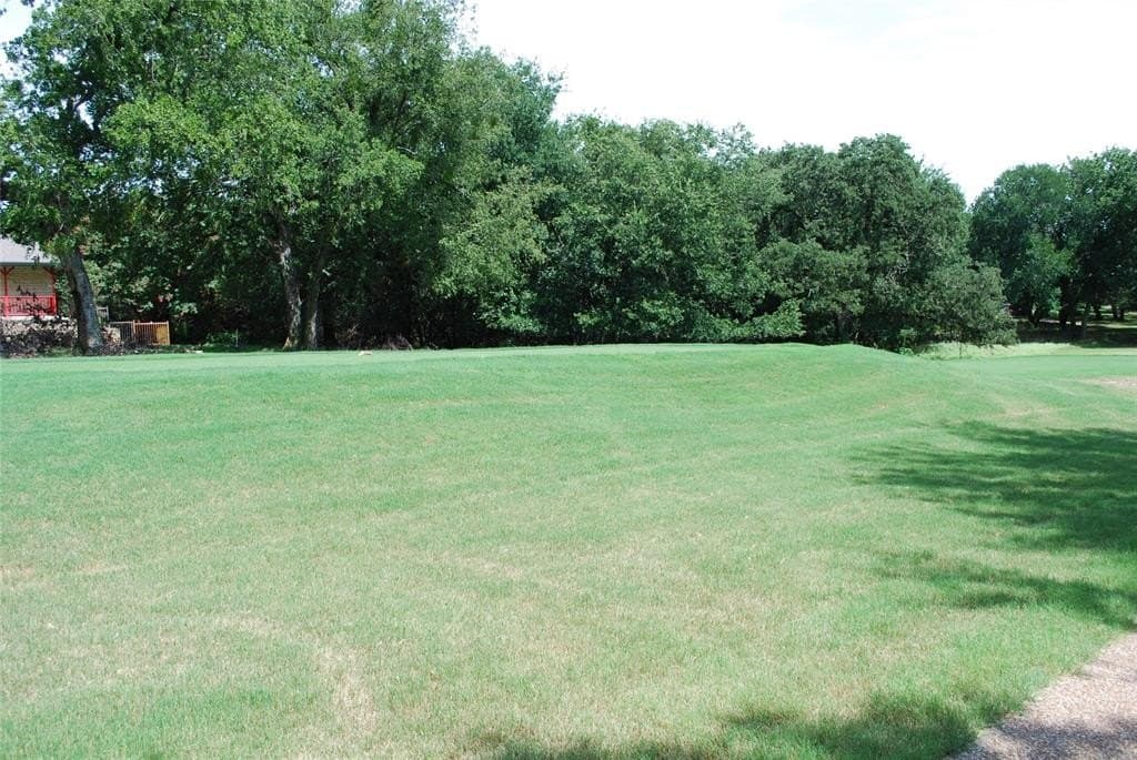 0.56 acres in Hill County - photo 10