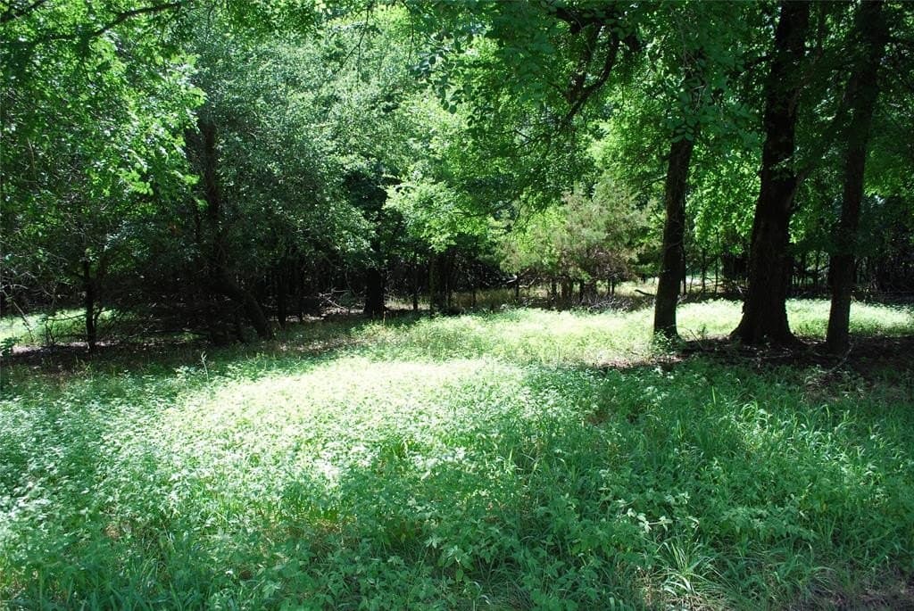 0.56 acres in Hill County - photo 6