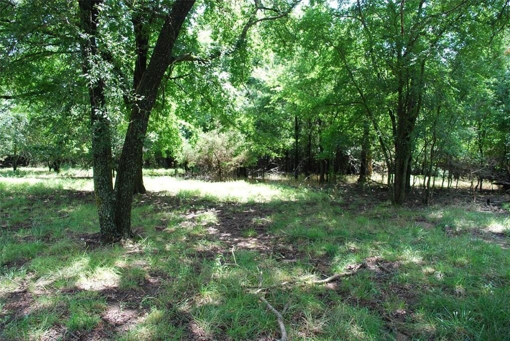 0.56 acres in Hill County - photo 4