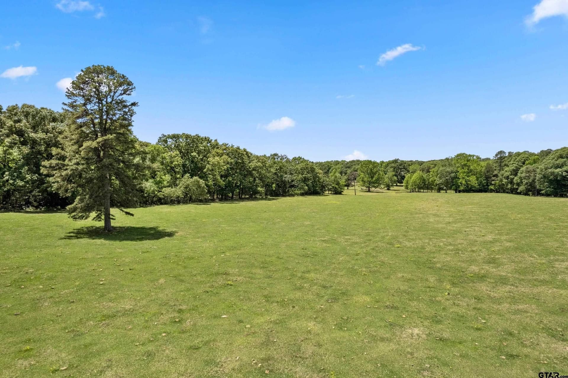 67.5 acres in Titus County - photo 9