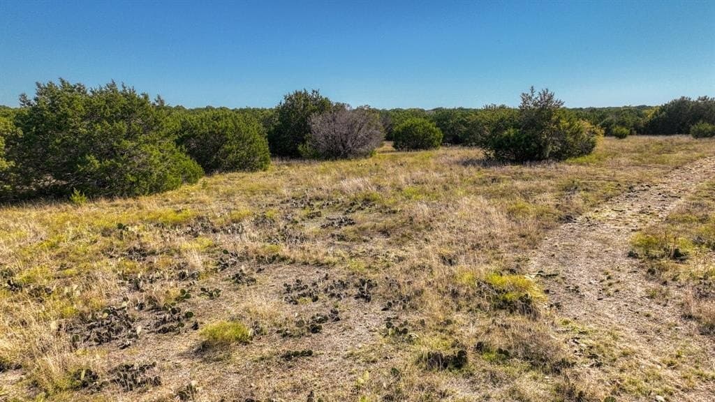 30.15 acres in Palo Pinto County - photo 23