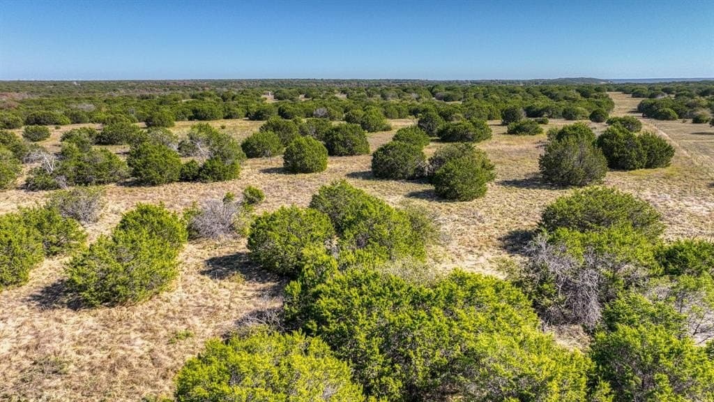 30.15 acres in Palo Pinto County - photo 13