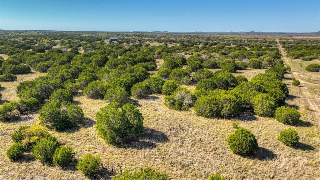 30.15 acres in Palo Pinto County - photo 18