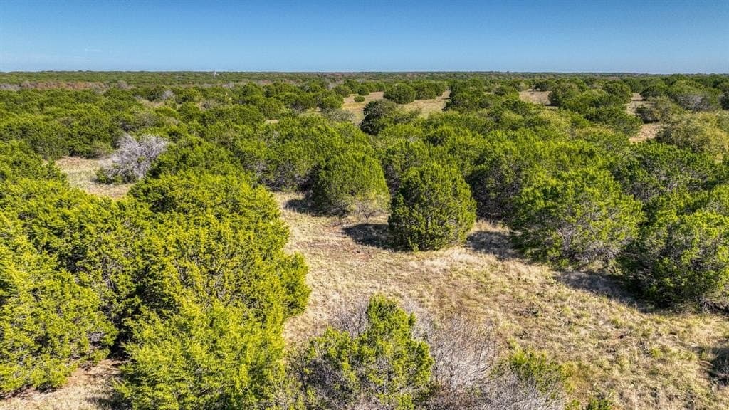 30.15 acres in Palo Pinto County - photo 16