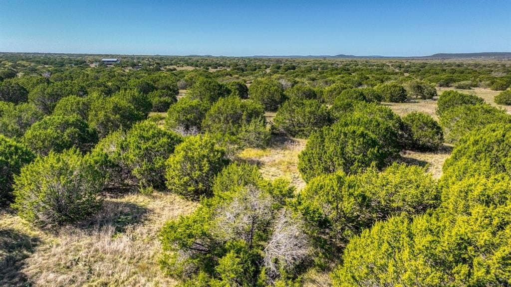 30.15 acres in Palo Pinto County - photo 19