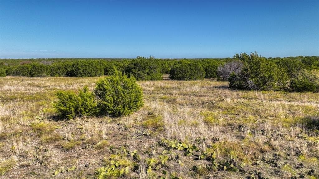 30.15 acres in Palo Pinto County - photo 8