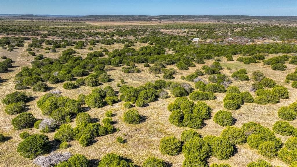 30.15 acres in Palo Pinto County - photo 4