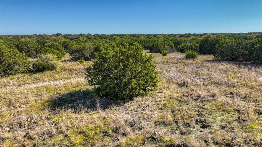 30.15 acres in Palo Pinto County - photo 7