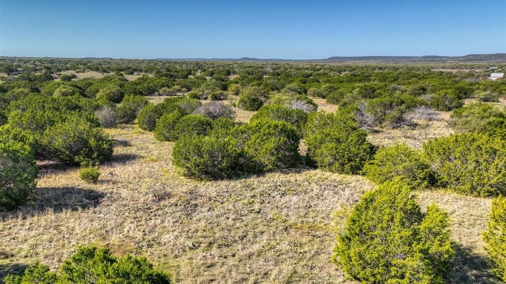 30.15 acres in Palo Pinto County - photo 5