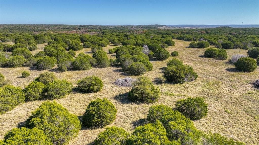 30.15 acres in Palo Pinto County - photo 34