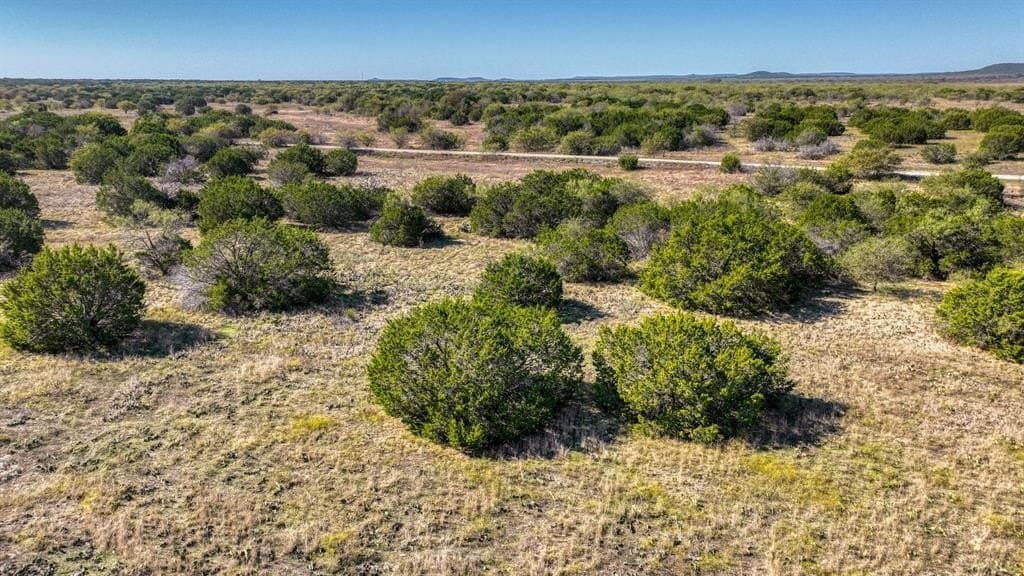 30.15 acres in Palo Pinto County - photo 10