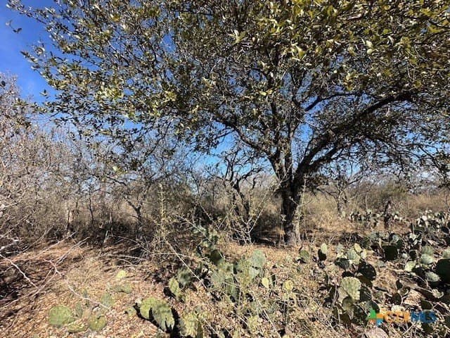 0.11 acres in Burnet County - photo 3
