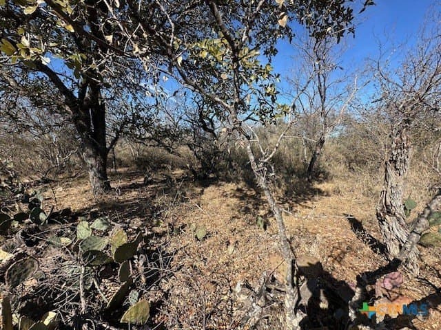 0.11 acres in Burnet County - photo 2