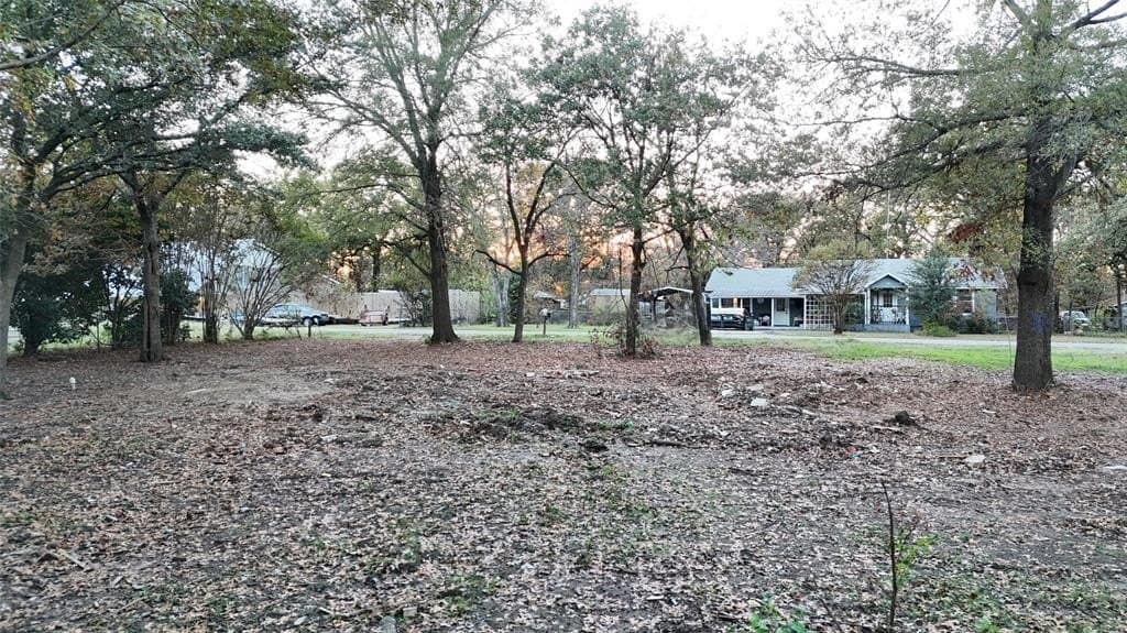 0.19 acres in Rains County - photo 6