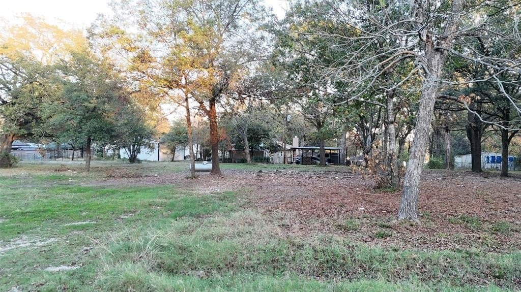 0.19 acres in Rains County - photo 3
