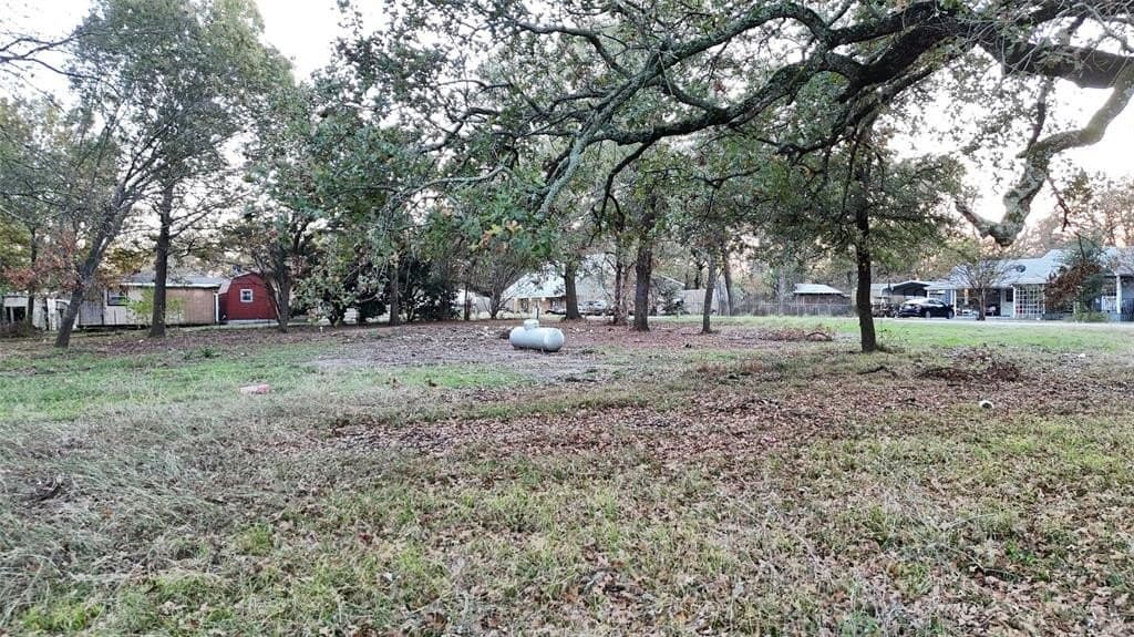 0.19 acres in Rains County - photo 5