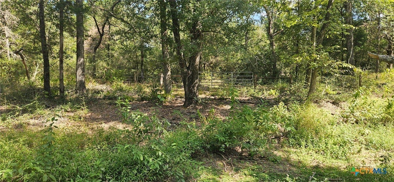 35.02 acres in Milam County - photo 9