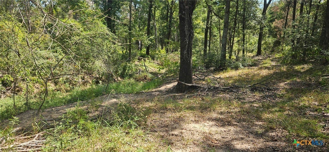 35.02 acres in Milam County - photo 5