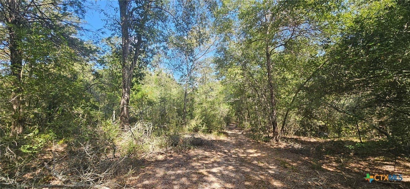 35.02 acres in Milam County - photo 8