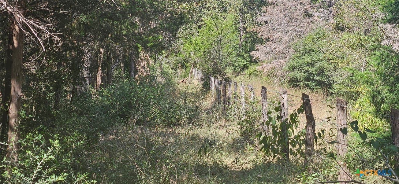 35.02 acres in Milam County - photo 7