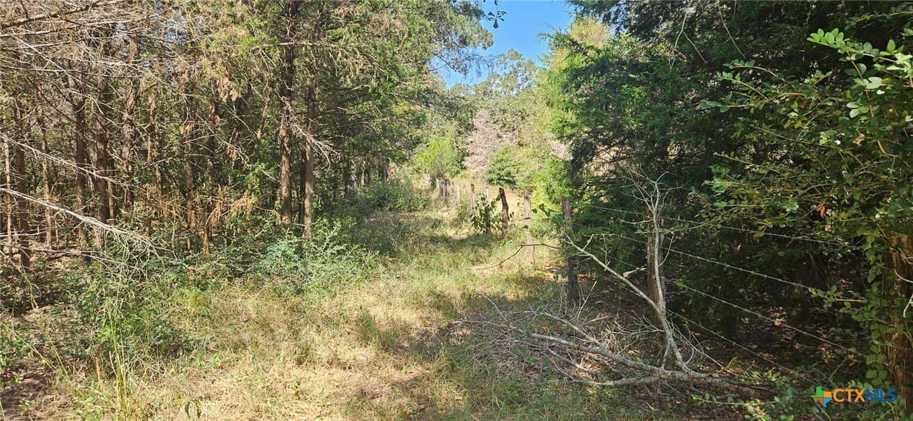 35.02 acres in Milam County - photo 4