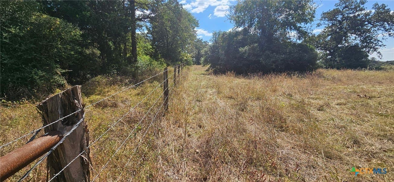 35.02 acres in Milam County - photo 6