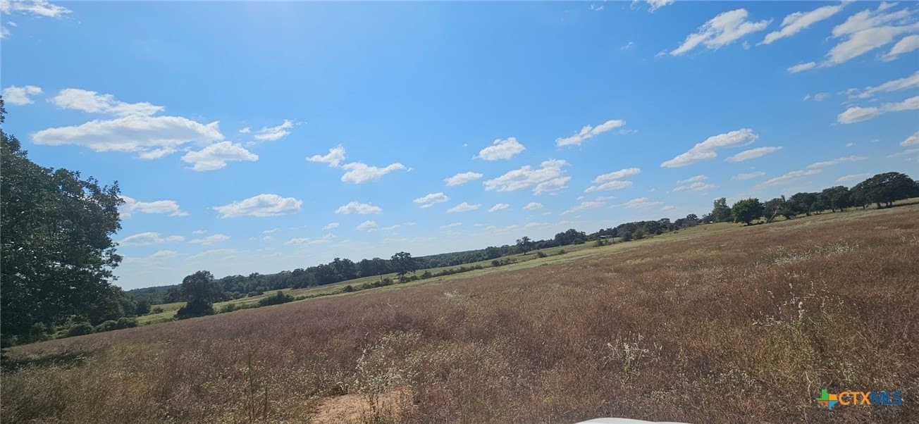 35.02 acres in Milam County - photo 3