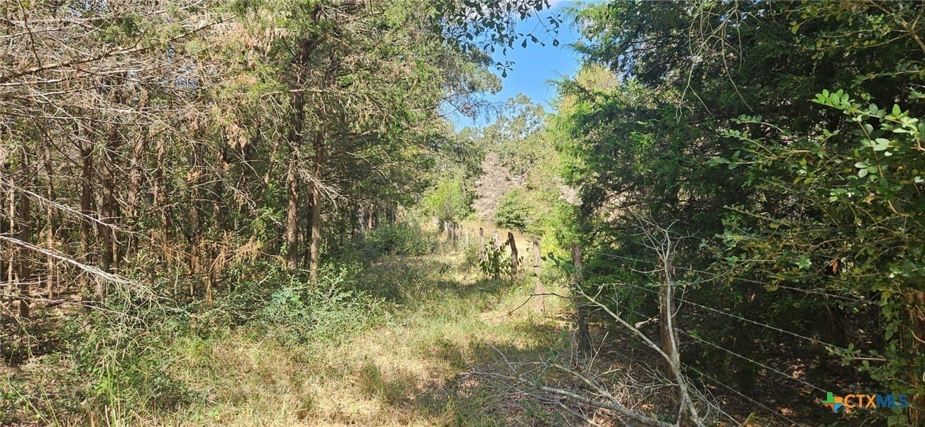 35.02 acres in Milam County - photo 10