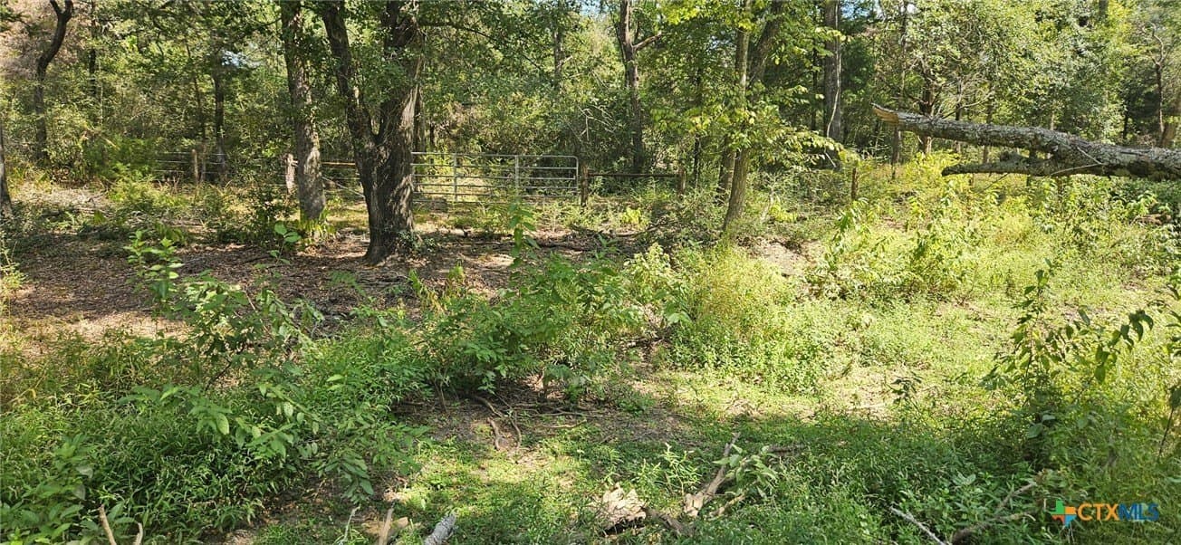 35.02 acres in Milam County - photo 2