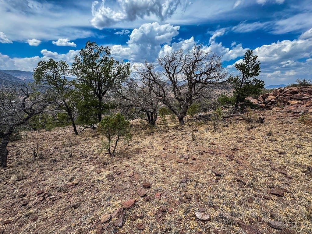 9.56 acres in Jeff Davis County - photo 9