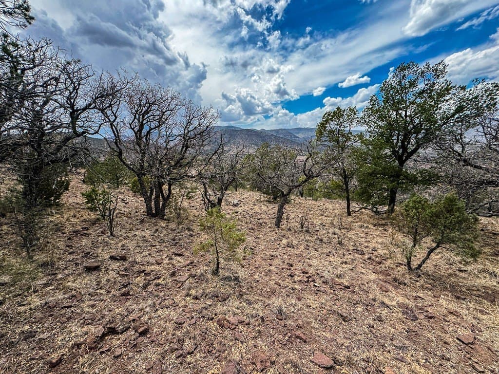 9.56 acres in Jeff Davis County - photo 8