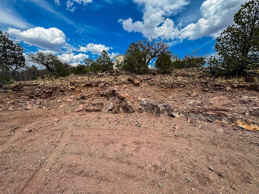 9.56 acres in Jeff Davis County - photo 5