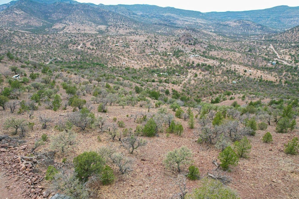 9.56 acres in Jeff Davis County - photo 11