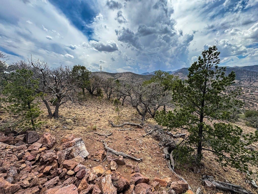 9.56 acres in Jeff Davis County - photo 7
