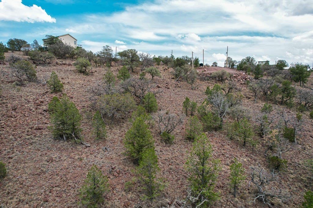 9.56 acres in Jeff Davis County - photo 16